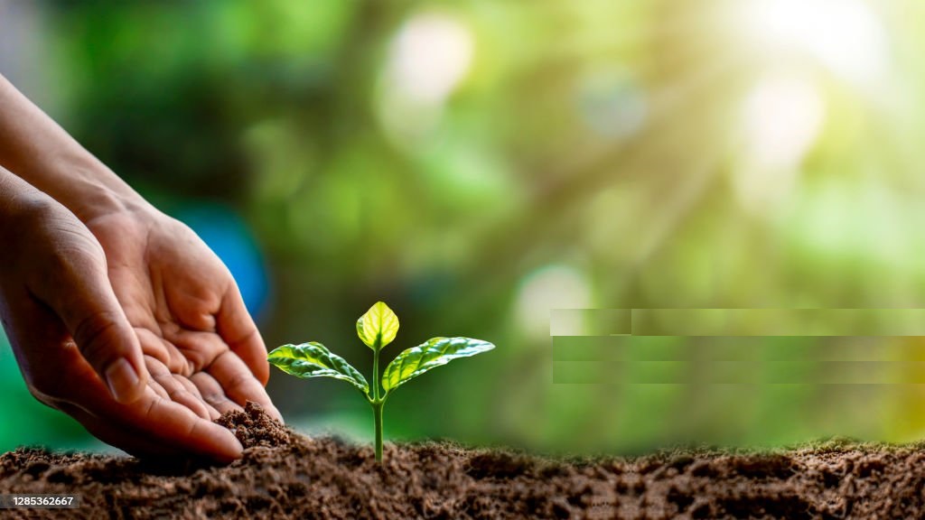 GESTIÓN AMBIENTAL DE RELAVES MINEROS: TECNOLOGÍAS, IMPACTOS Y ESTRATEGIAS SOSTENIBLES